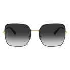 0DG2242 02/13 57 SD16817