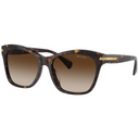 500313